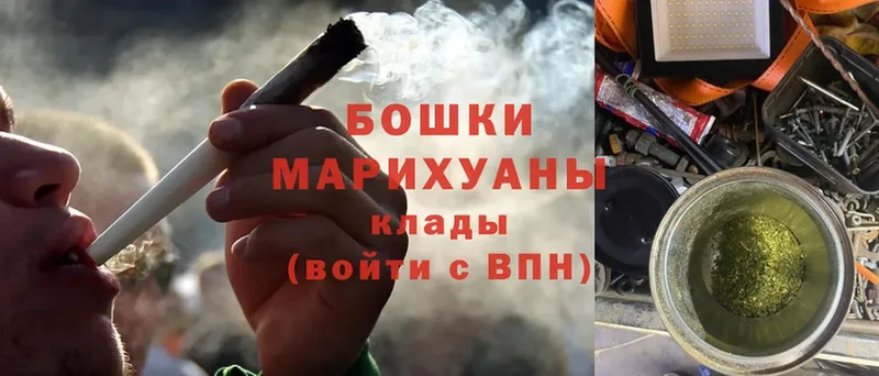 где купить наркоту  Лиски  Бошки Шишки THC 21% 